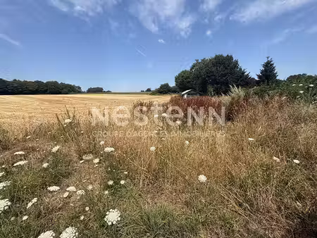 terrain à vendre