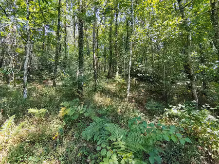 terrain à vendre