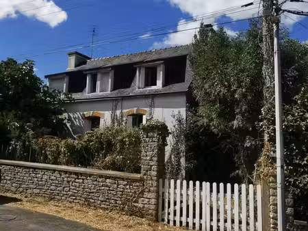 monzeo