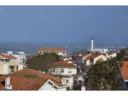 btz immobilier