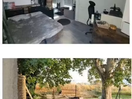 appartement à louer - logement étudiant