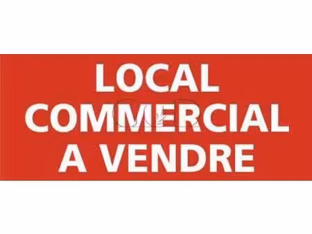 cabinet drujon d astros immobilier