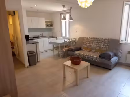 location appartement 1 pièce 24 m² à brignoles (83170)