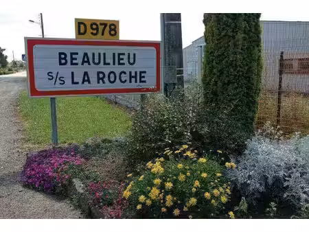 terrain constructible viabilisé à vendre