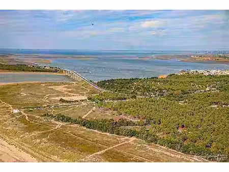 terrain constructible viabilisé à vendre