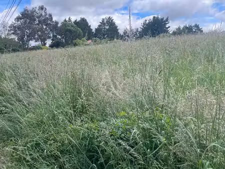 terrain constructible viabilisé à vendre