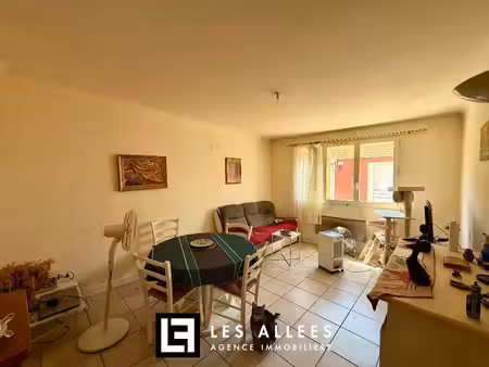 immobilière les allées