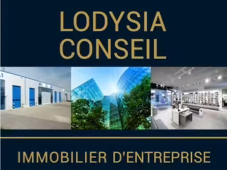 lodysia conseil