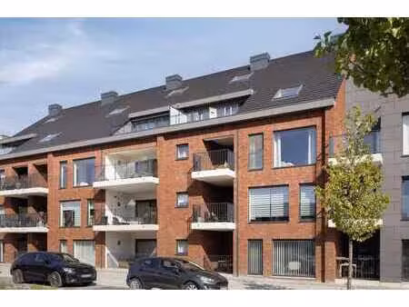 vente - appartement tongeren-borgloon - 340 000 €