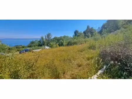 terrain à vendre
