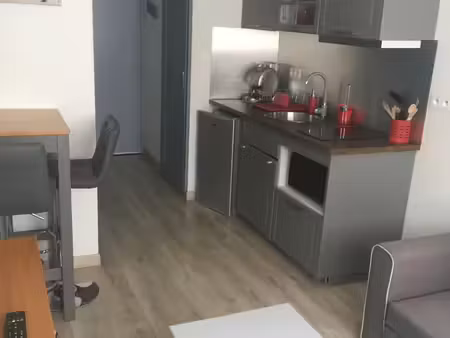 appartement t2 de caractere centre ville chateauroux