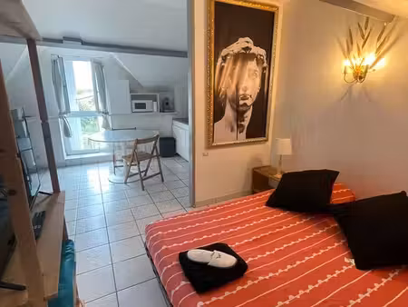 grand studio meuble proche campus