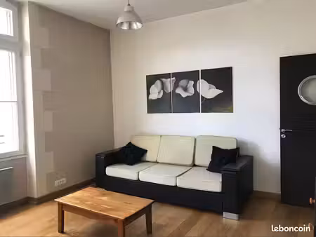 t2 meublé 56m2  très lumineux