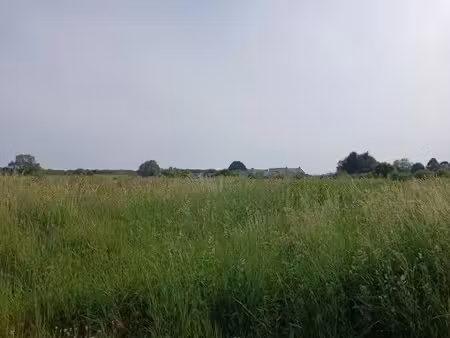 vente terrain 550 m² à formigny (14710)  51 500 €