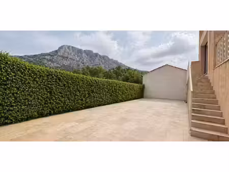 maison avec jardin et terrasse saint-antonin-sur-bayon (13)
