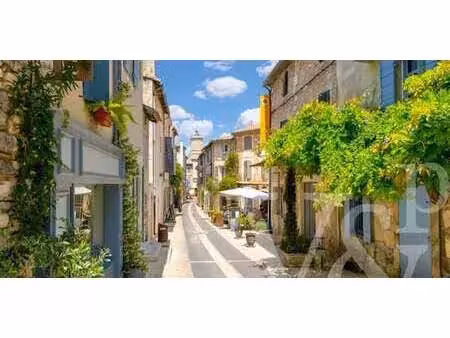 maison avec piscine et terrasse saint-rémy-de-provence (13)