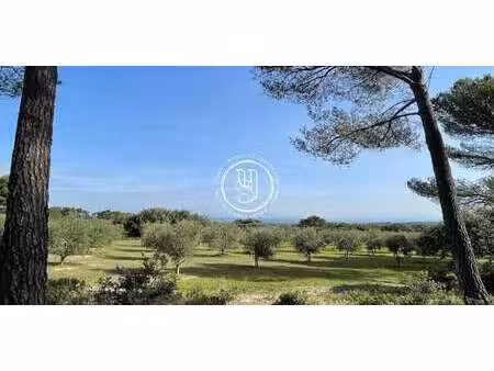 mas saint-rémy-de-provence (13)