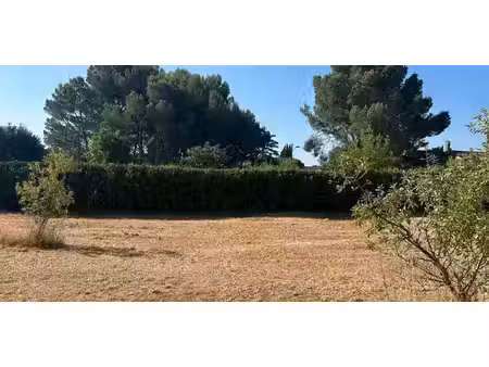 terrain mouriès (13)