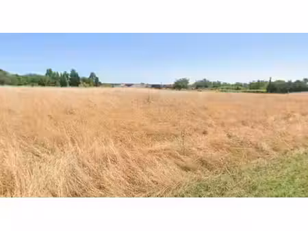 vente terrain 8000 m² à laruscade (33620)  60 000 €