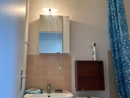 location appartement 1 pièce 29 m² à villejuif (94800)
