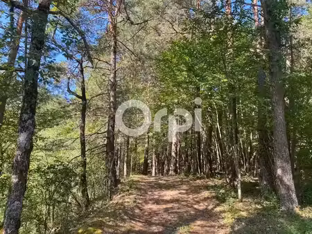 vente terrain 10693 m² à le mas (06910)  90 000 €