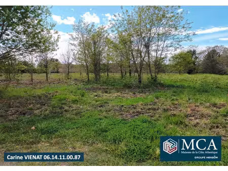 vente terrain 300 m² à gastes (40160)  89 000 €