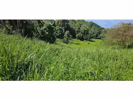 vente terrain 915 m² à les abymes (97139)  95 000 €