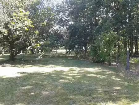 vente terrain 1200 m² à fonsorbes (31470)  120 000 €