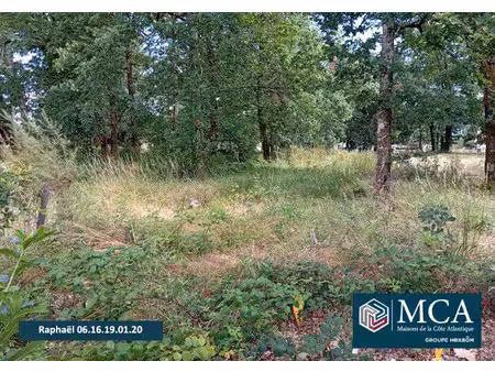 vente terrain 400 m² à biganos (33380)  155 000 €