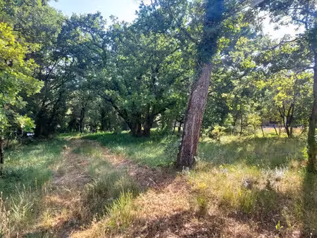 vente terrain 1700 m² à néoules (83136)  146 000 €