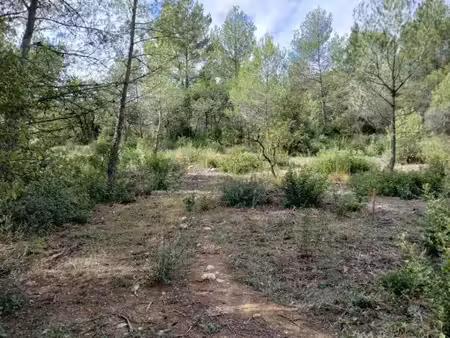 vente terrain 400 m² à vailhauquès (34570)  185 000 €