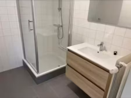 location meublée appartement 4 pièces 80 m² à denain (59220)  667 €