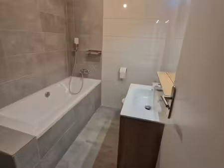 appartement 3 pièces à louer mulhouse hyper centre ville