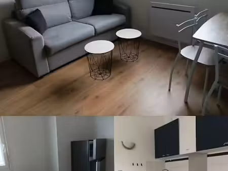 location meublée appartement 2 pièces 44 m² à le mans (72000)  600 €