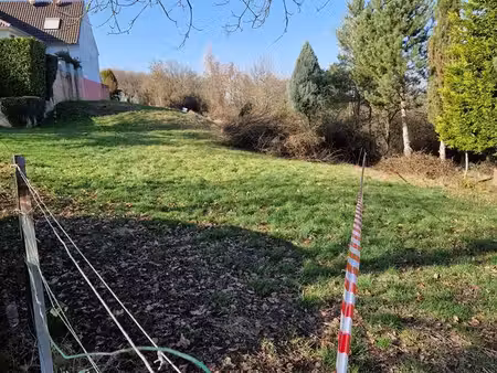 terrain sur montbronn