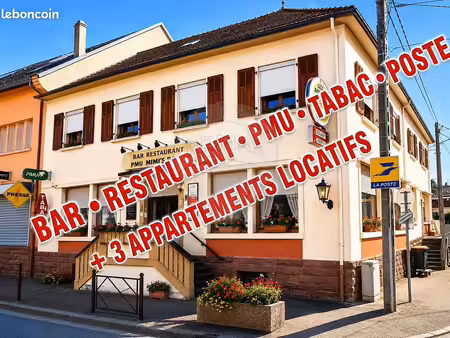 maison 10 pièces 393 m²