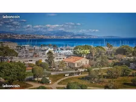 local 36 m²
