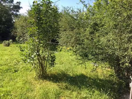 terrain constructible + petit chalet + dépendances