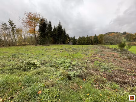 terrain à bâtir