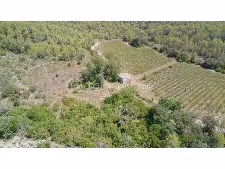 terrain agricole de 11 476 m² avec mazet cadastré et puits