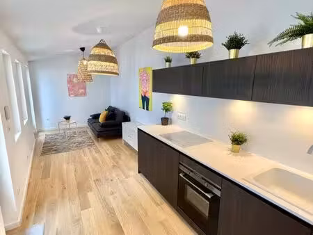 magnifique studio arrière cour neudorf