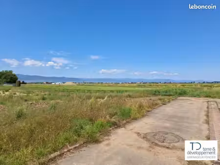 terrain de 286 m² à niederhergheim (haut-rhin)