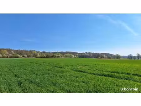 terrain 439 m² hirsingue