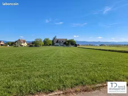 terrain de 349 m² à niederhergheim (haut-rhin)