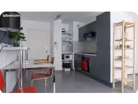 appartement 1 pièce