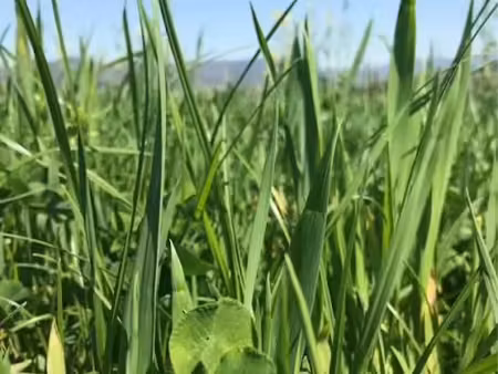 recherche terrain agricole à acheter