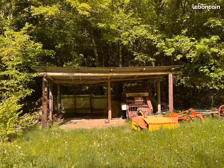 terrain agricole 10 hectares chevaux…