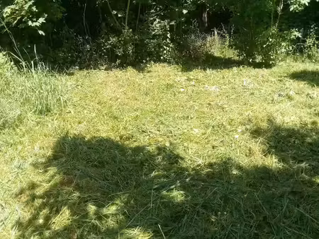 vds petit terrain de peche