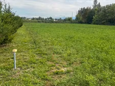 terrain plat 3900m2