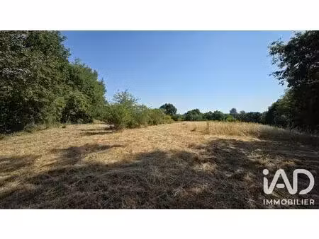 terrain à bâtir à bélâbre (36370)